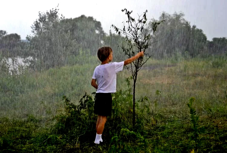 Photo 2 du film : La Terre outragée