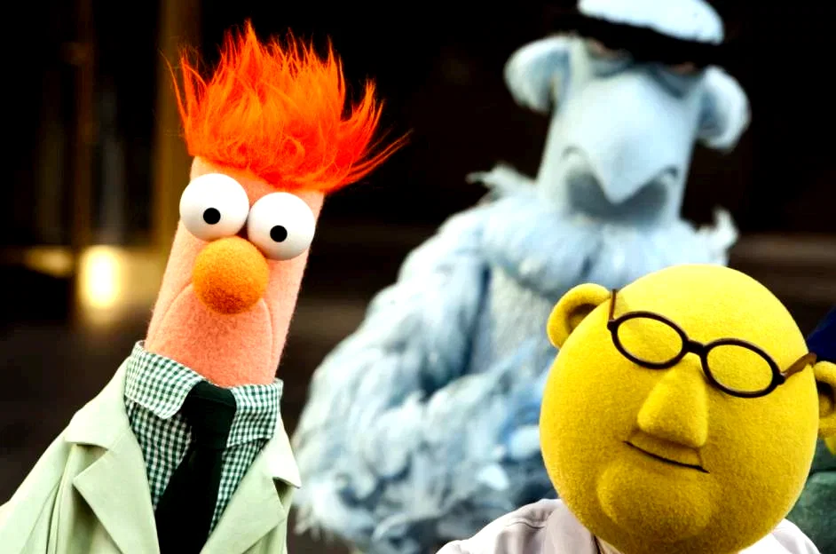 Photo 14 du film : Les Muppets, le retour