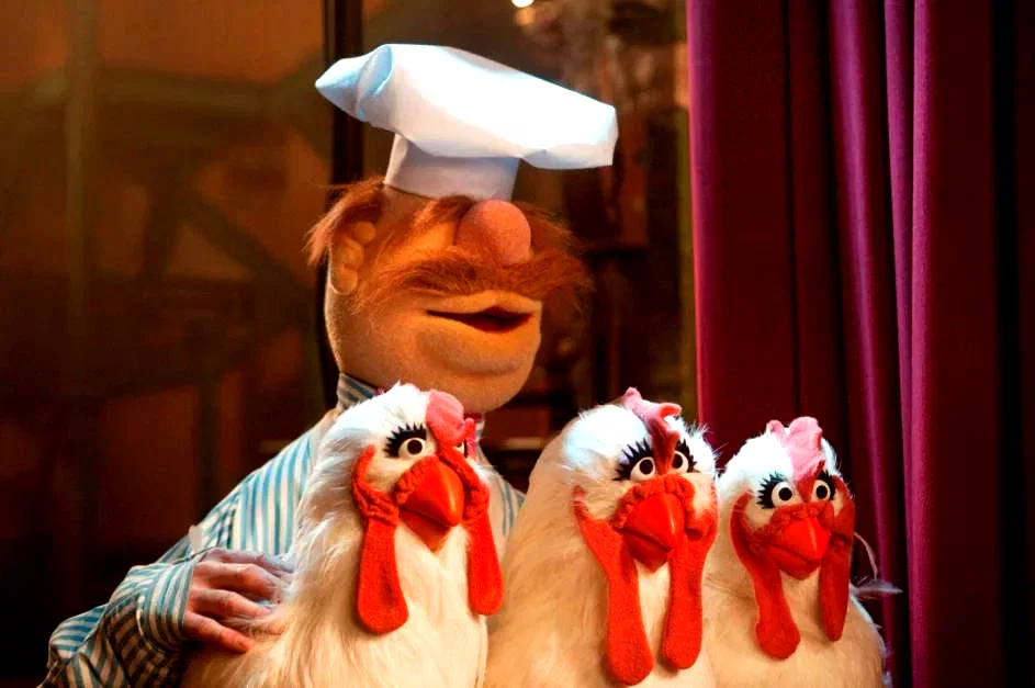 Photo 35 du film : Les Muppets, le retour