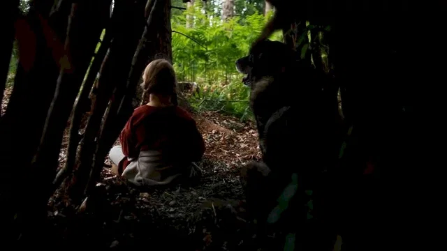 Photo 8 du film : A pas de loup 