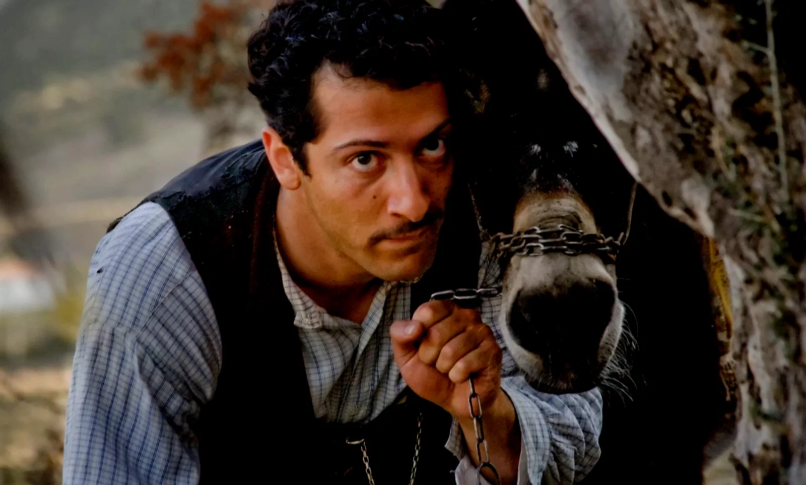 Photo 2 du film : Almanya