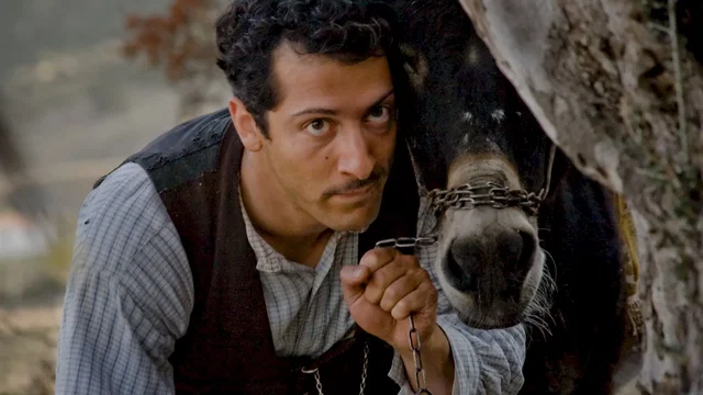 Photo du film : Almanya