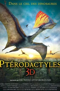 Affiche du film = Ptérodactyles 3D : Dans le ciel des dinosaures 