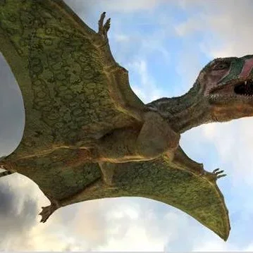 Miniature photo du film : Ptérodactyles 3D : Dans le ciel des dinosaures 