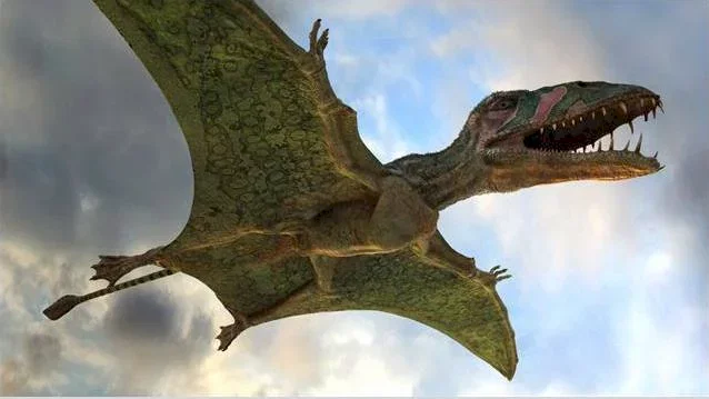 Affiche du film : Ptérodactyles 3D : Dans le ciel des dinosaures 