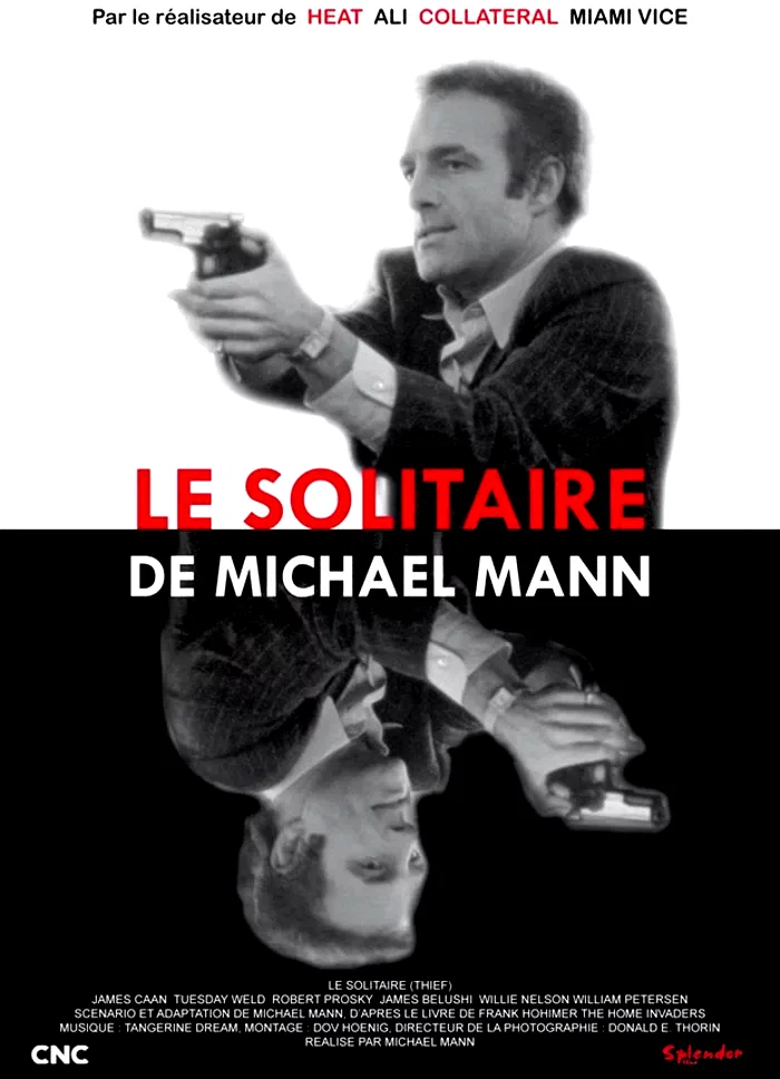 Affiche du film : Le solitaire