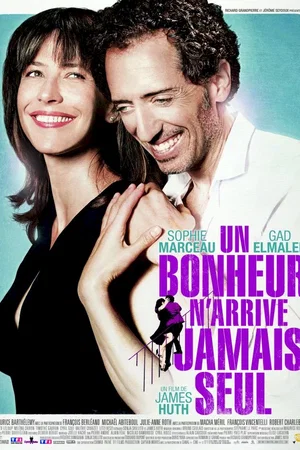 Affiche du film : Un bonheur n'arrive jamais seul