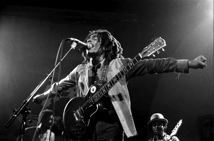 Photo 5 du film : Marley