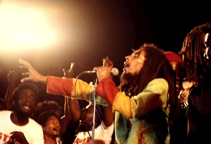 Photo 7 du film : Marley