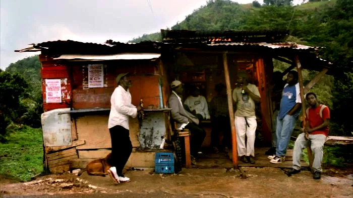 Photo 9 du film : Marley