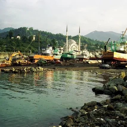 Miniature photo du film : Polluting Paradise