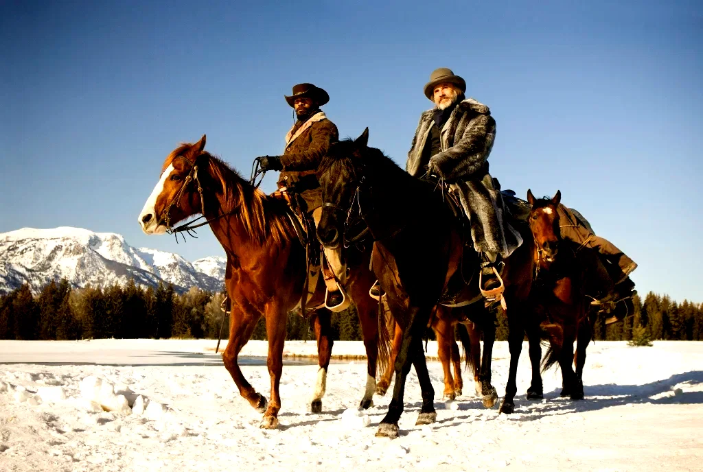 Photo 7 du film : Django Unchained