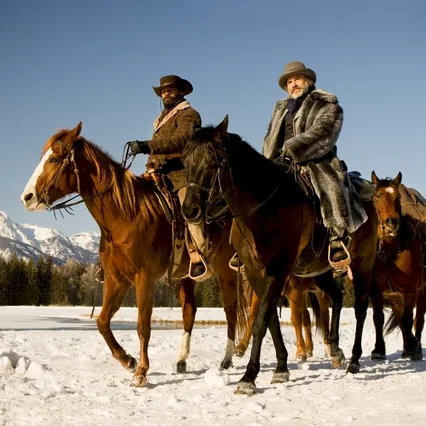 Miniature photo du film : Django Unchained