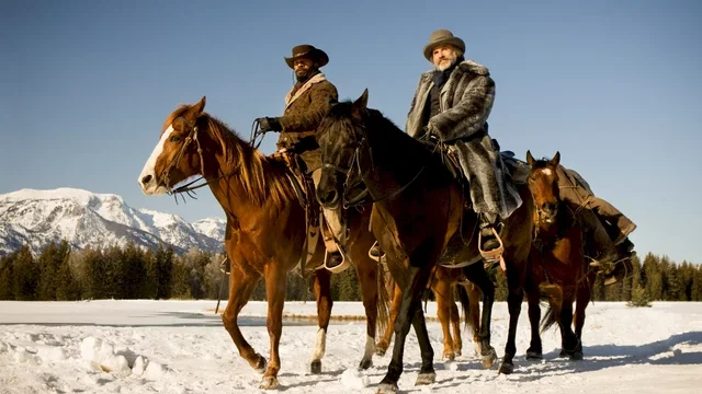 Affiche du film : Django Unchained