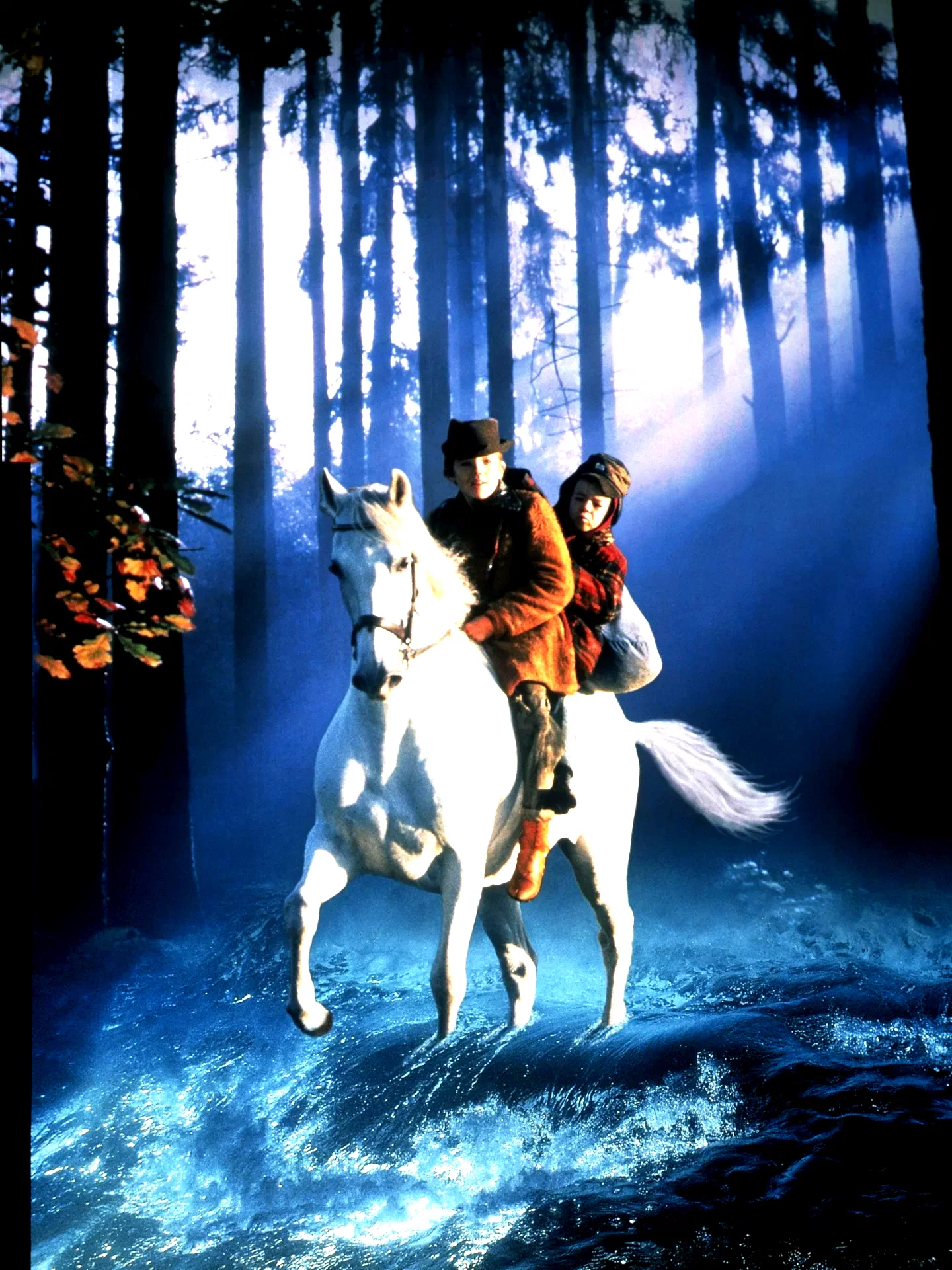 Photo 2 du film : Le cheval venu de la mer