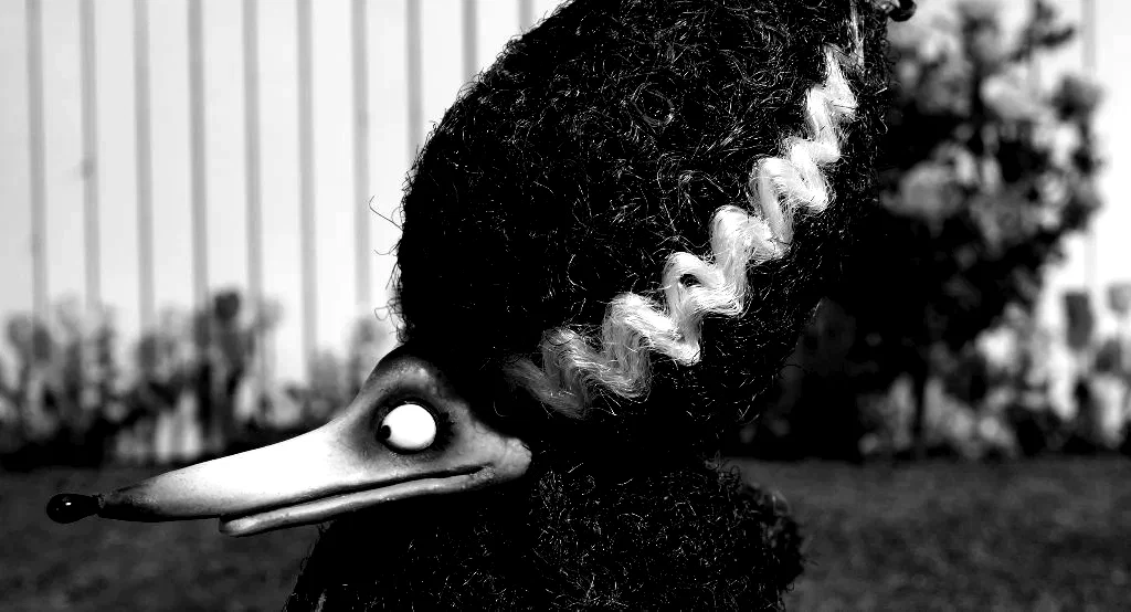 Photo 8 du film : Frankenweenie