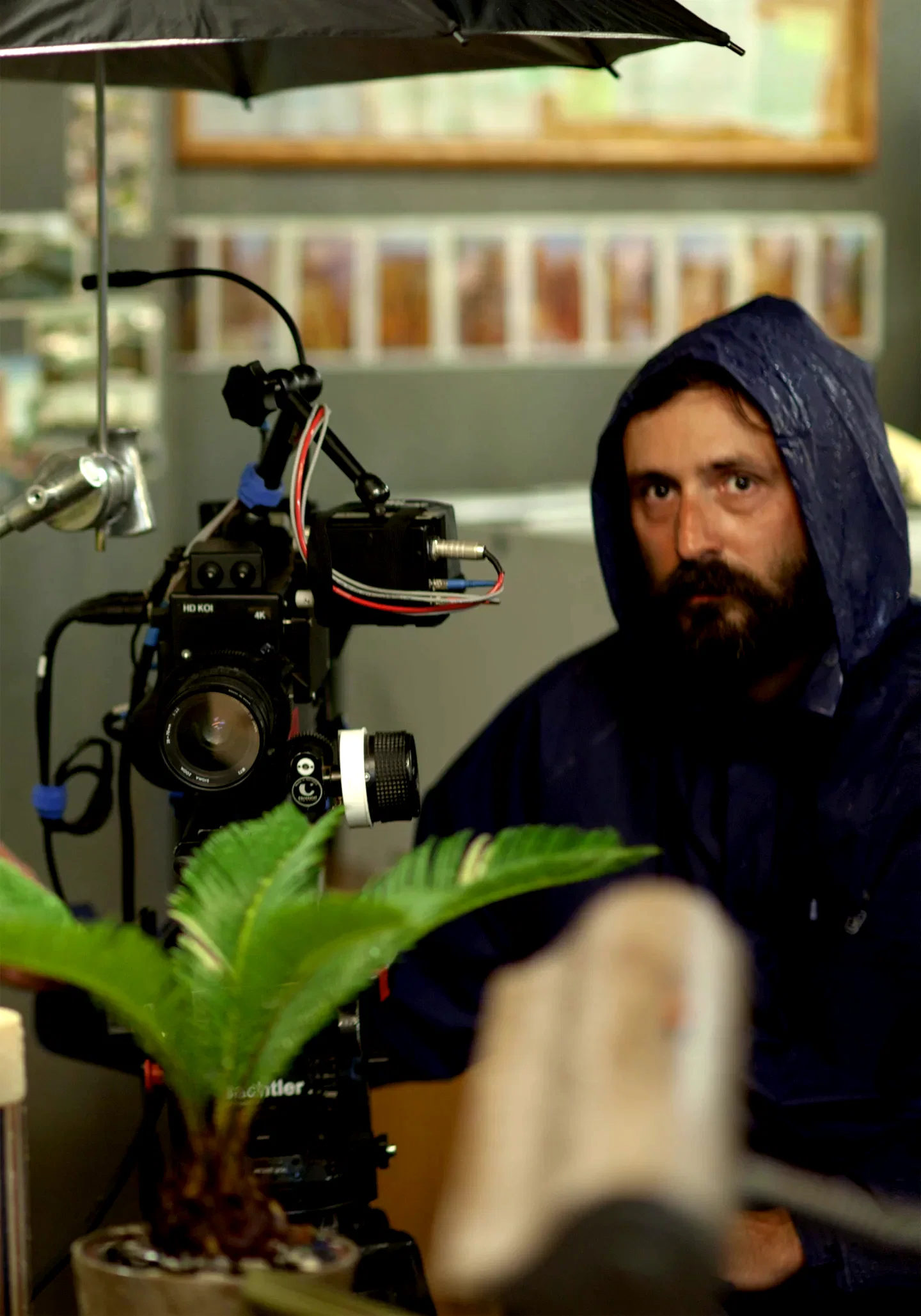 Photo 3 du film : Wrong