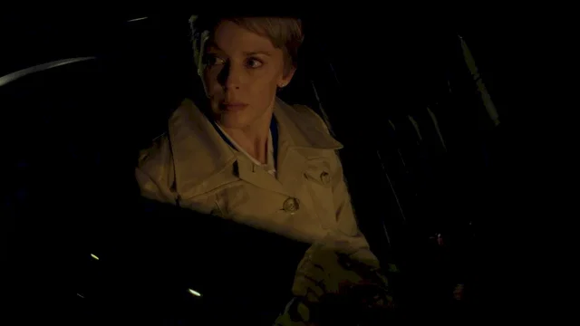 Affiche du film : Holy motors