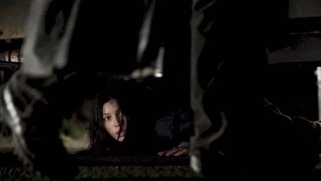 Photo du film : The Secret