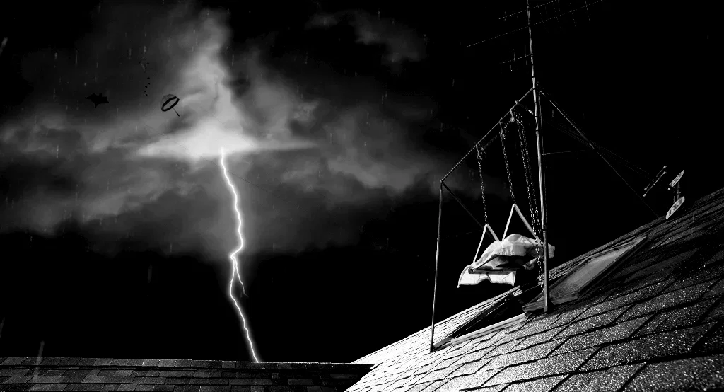 Photo 10 du film : Frankenweenie