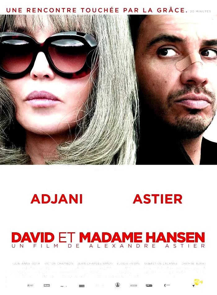 Affiche du film : David et Madame Hansen