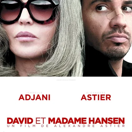 Miniature photo du film : David et Madame Hansen