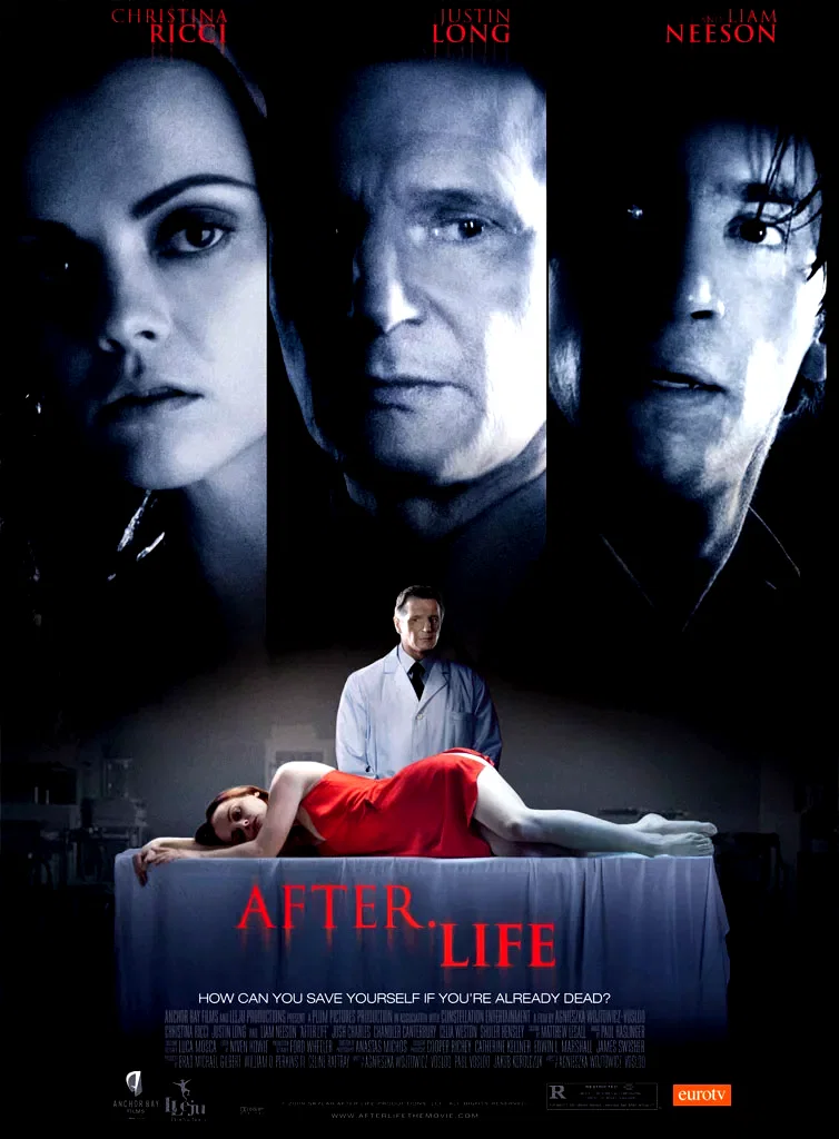 Affiche du film : After life