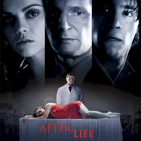 Photo du film : After life