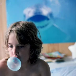 Photo du film : Little bird
