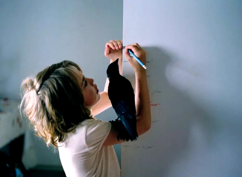 Photo 4 du film : Little bird