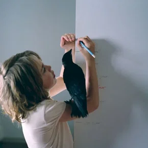Photo du film : Little bird