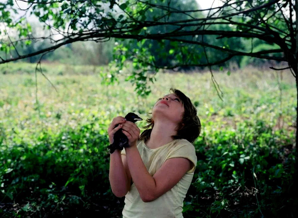 Photo 5 du film : Little bird