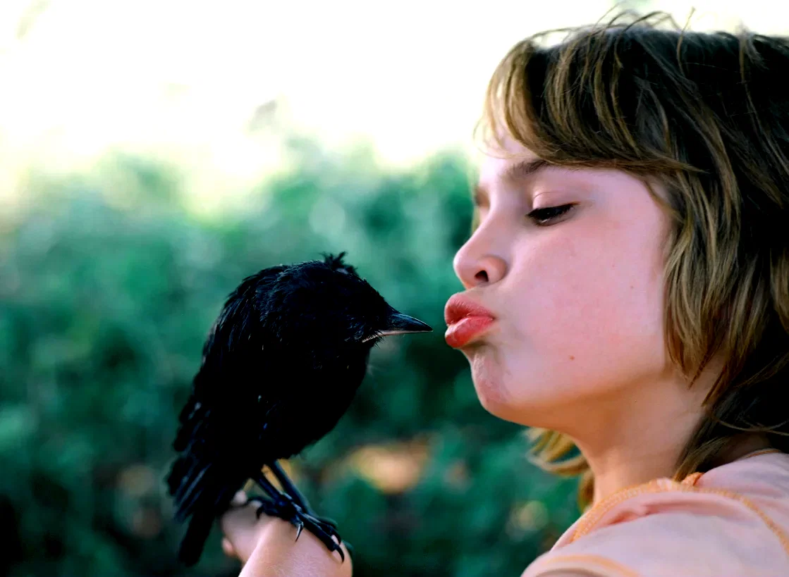 Photo 6 du film : Little bird