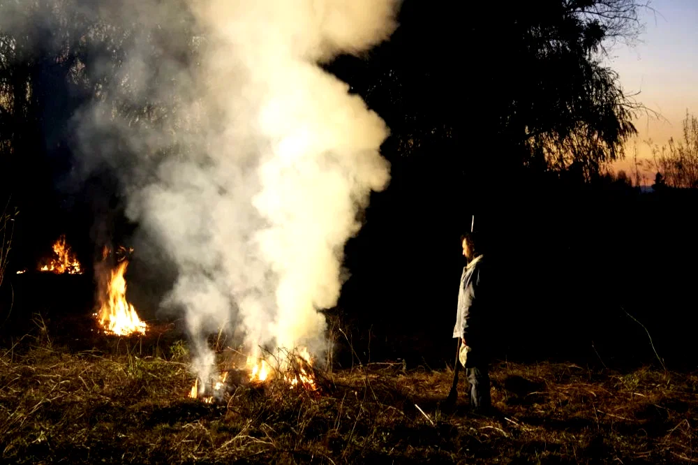 Photo 2 du film : Près du feu 
