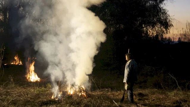 Photo 2 du film : Près du feu 