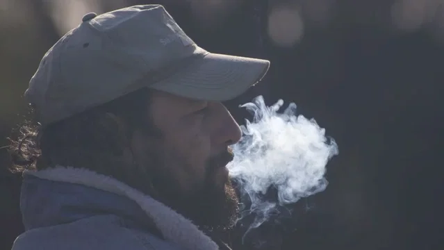 Affiche du film : Près du feu 