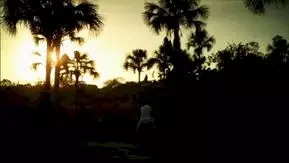 Photo 5 du film : Tourbillon