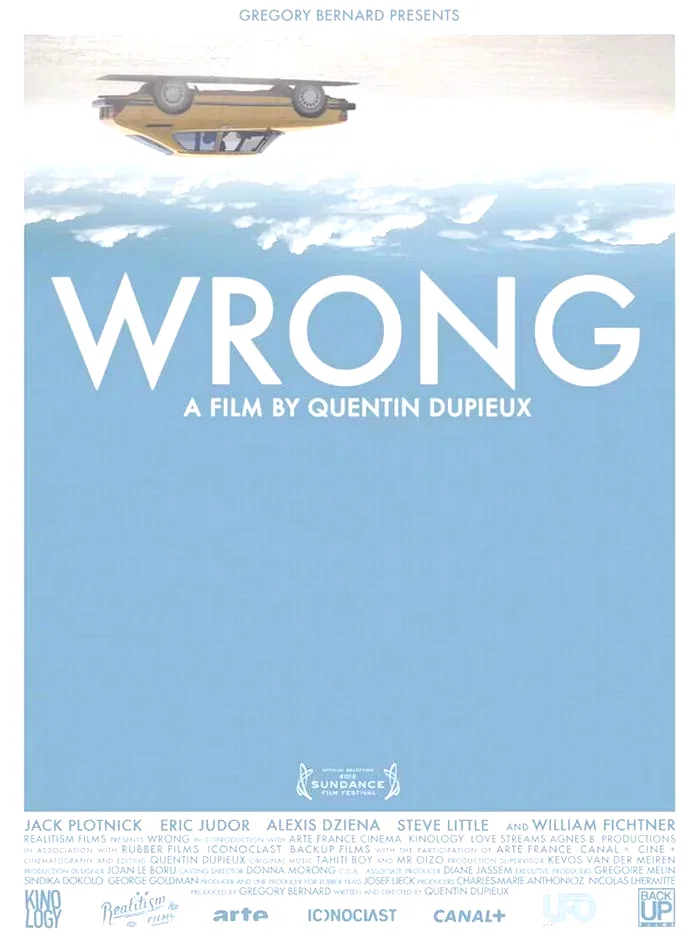 Affiche du film : Wrong