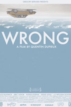 Affiche du film : Wrong
