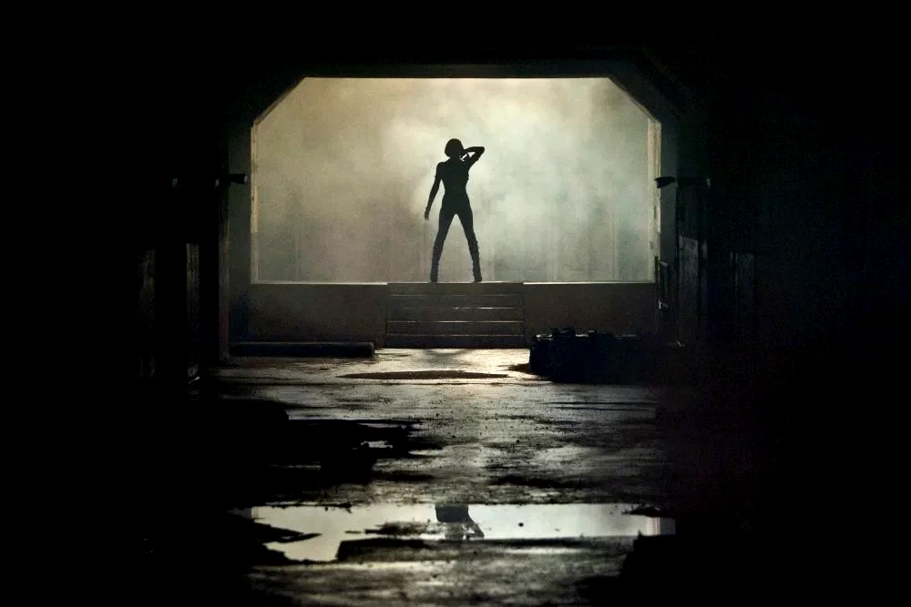 Photo 10 du film : Resident Evil 5 - Retribution