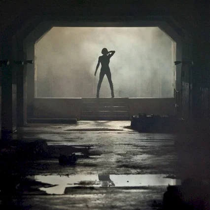 Miniature photo du film : Resident Evil 5 - Retribution