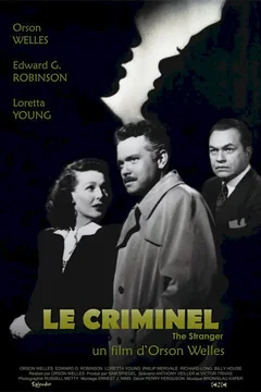 Affiche du film Le criminel