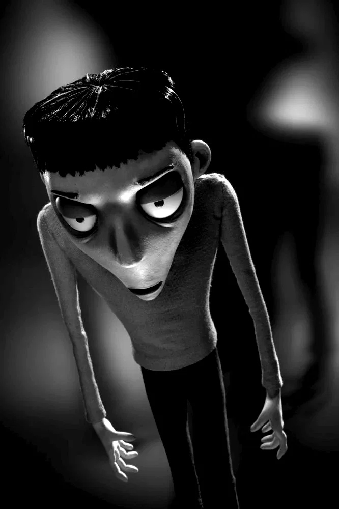 Photo 15 du film : Frankenweenie