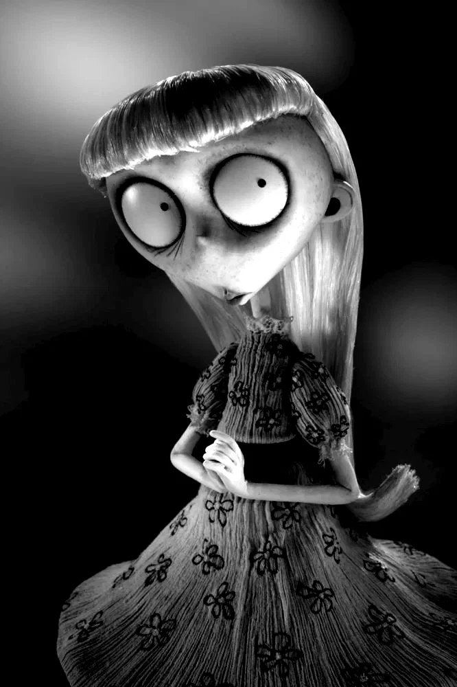 Photo 16 du film : Frankenweenie
