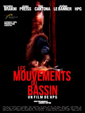 Affiche du film : Les mouvements du bassin
