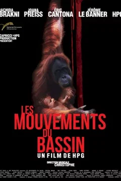 Affiche du film = Les mouvements du bassin