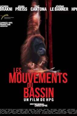 Affiche du film : Les mouvements du bassin