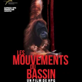 Miniature photo du film : Les mouvements du bassin