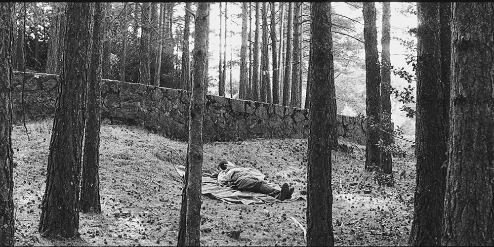 Photo du film : Rêve et Silence