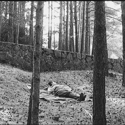 Miniature photo du film : Rêve et Silence